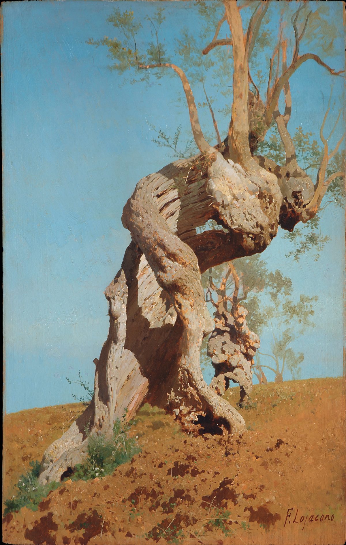 Francesco Lojacono, Studio preparatorio per Ulivi saraceni, 1883 circa